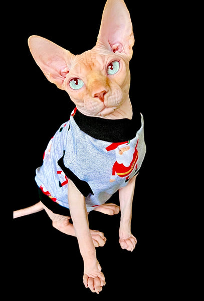 Sphynx Christmas Cat Clothes |  Gray Santa Style