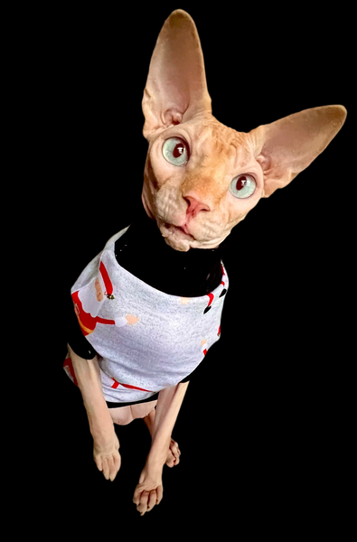 Sphynx Christmas Cat Clothes |  Gray Santa Style