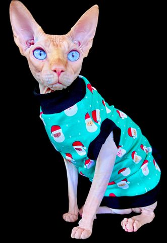 Sphynx Christmas Cat Clothes |  Green Santa Style