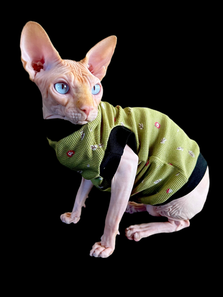 Sphynx  Cat Clothes |  Thermal Green Style