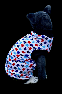 Sphynx Fourth Of July Cat Clothes | Patriot Stars Style