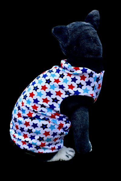 Sphynx Fourth Of July Cat Clothes | Patriot Stars Style