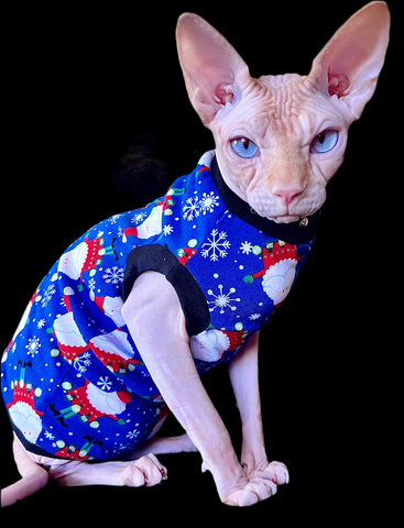 Sphynx Christmas Cat Clothes | Santa Rocks Style