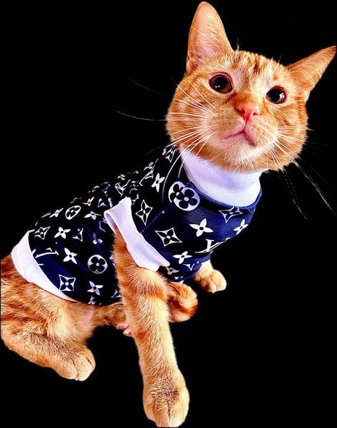Sphynx Cat Clothes |   LV LUXURY