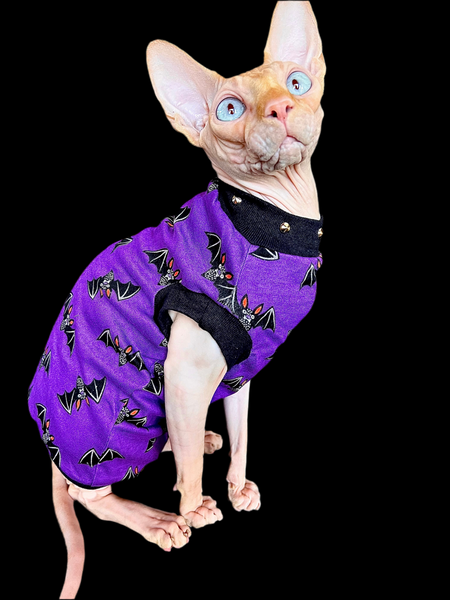 Sphynx Halloween Cat Clothing | Bats Purple Style