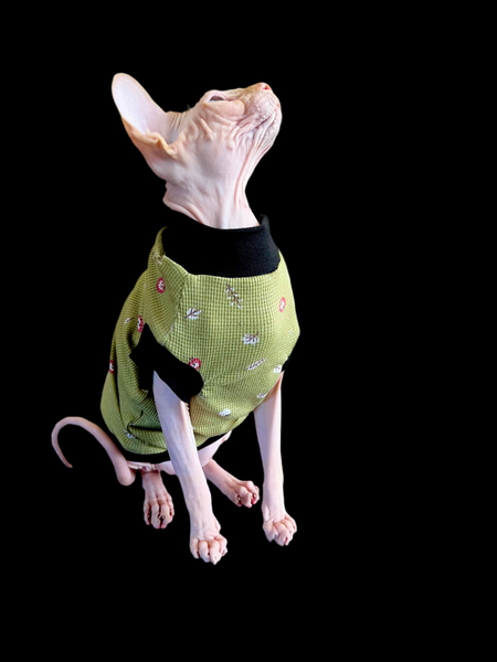 Sphynx  Cat Clothes |  Thermal Green Style