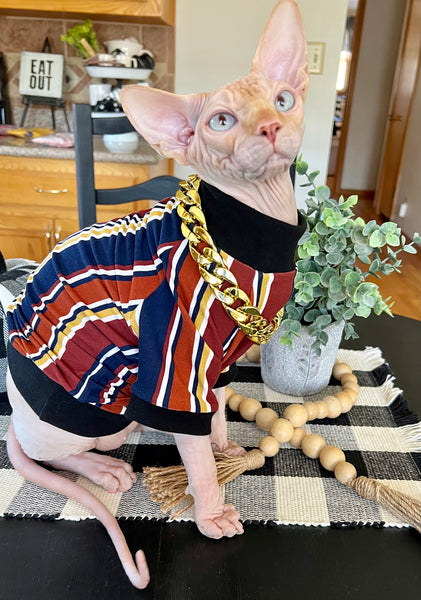 Sphynx Cat Clothes |  Nerd Style (Chain NOT Included)