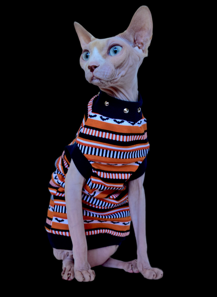 Sphynx Halloween Cat Clothing | Trick Or Treat Style