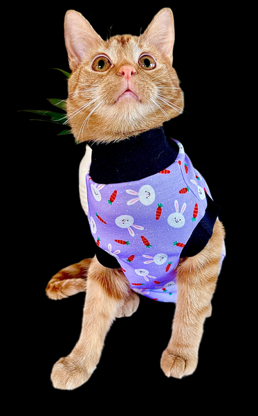 Sphynx Cat Clothes | Purple Easter