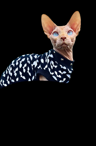 Sphynx Halloween Cat Clothing | Bats Black & White Style