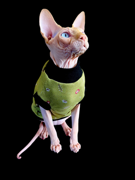 Sphynx  Cat Clothes |  Thermal Green Style