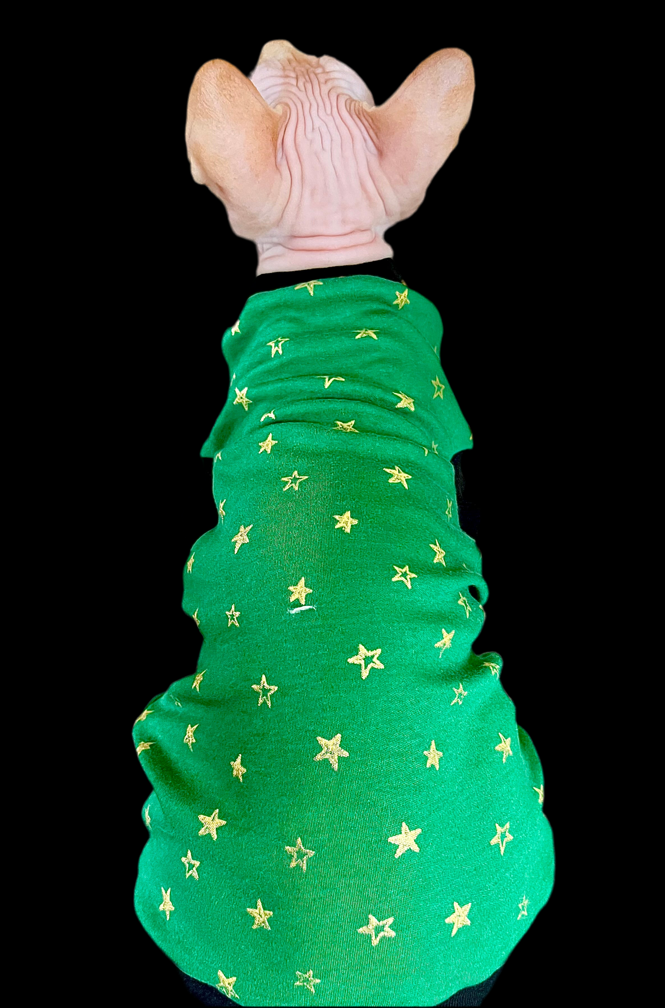 Sphynx Christmas Cat Clothes |  Green Golden Star Style (Studded Neckline)