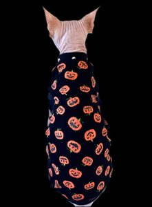 Sphynx Halloween Cat Clothing | Pumpkin Sparkle Style