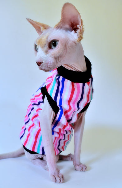 Sphynx Cat Clothes | Sugar Stripes Style