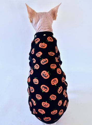 Sphynx Halloween Cat Clothing | Pumpkin Sparkle Style