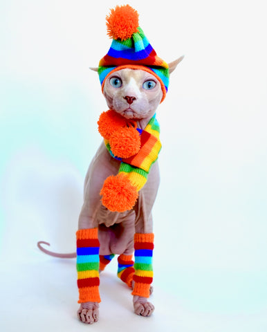 Sphynx Vibes Cat Hat | Scarf | Leg Warmers | Rainbow Style