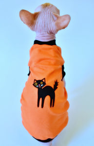 Sphynx Halloween Cat Clothes | Scary Cat Style