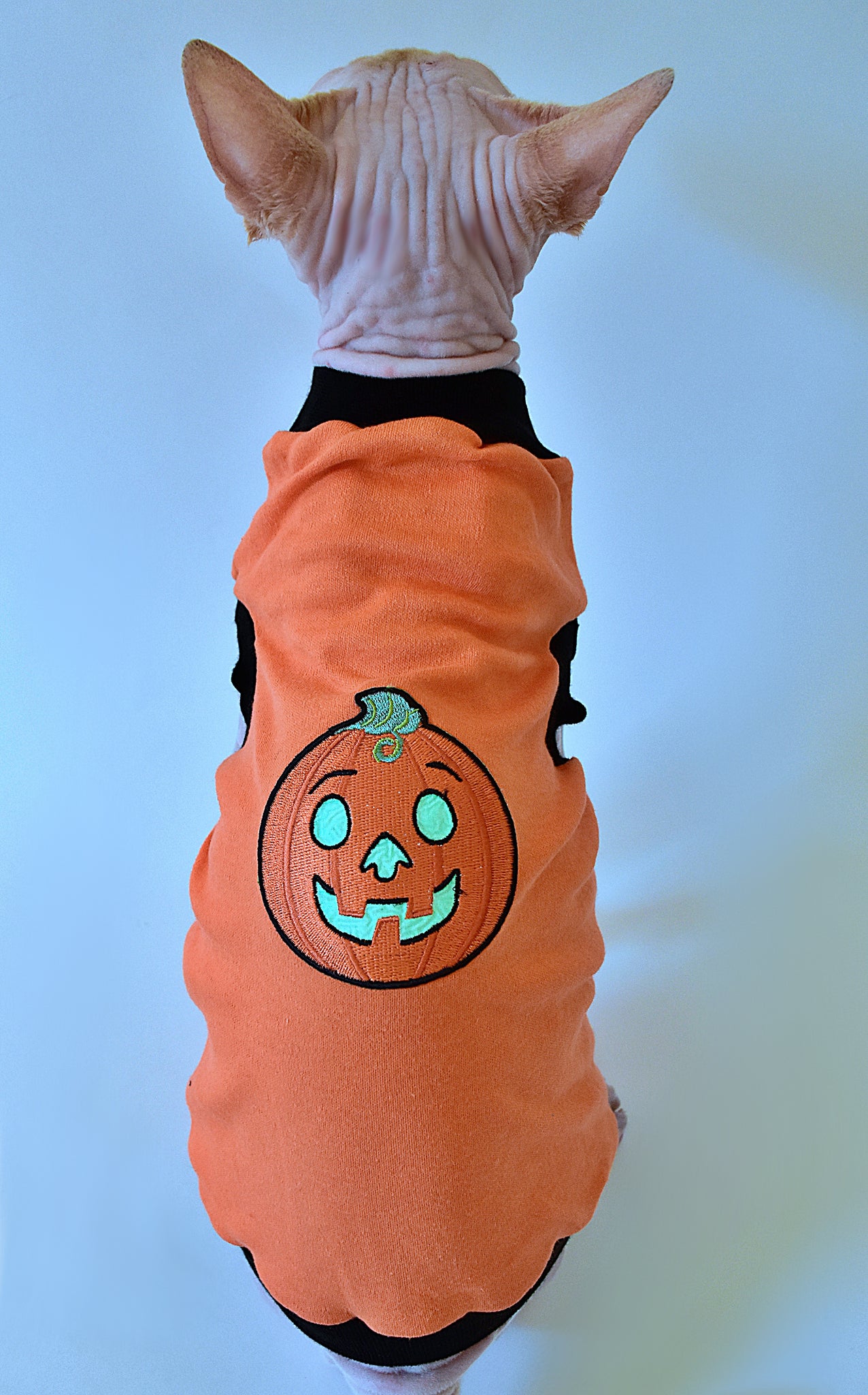 Sphynx Halloween Cat Clothes | Pumpkin Style
