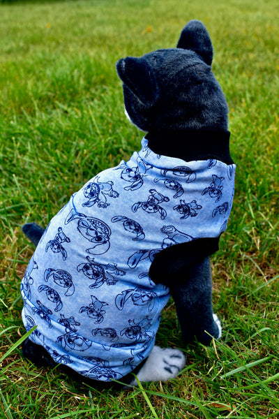 Sphynx Cat Clothes | Blue Monster Style
