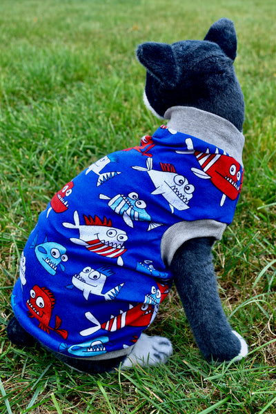 Sphynx Fourth Of July Cat Clothes | Shark Style