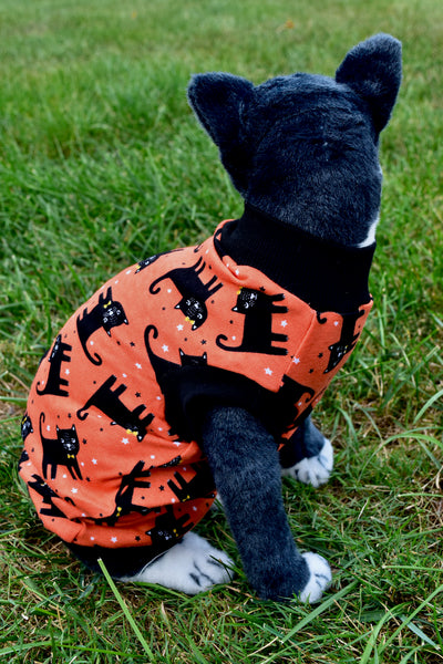 Sphynx Halloween Cat Clothes | Bad Luck Cats Style