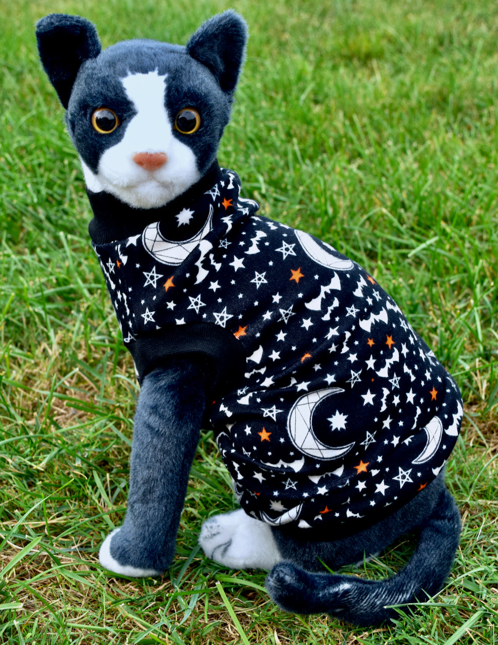 Sphynx Halloween Cat Clothes | Wiccan Style