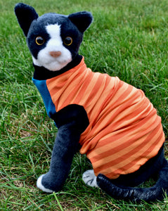 Sphynx Cat Clothes | Orange Stripes Blue Front Style