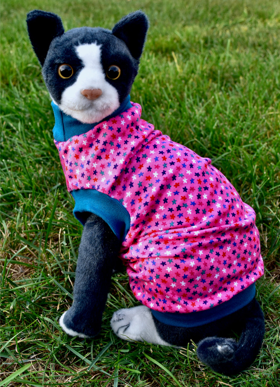 Sphynx Cat Clothes |  Fruity Stars Style