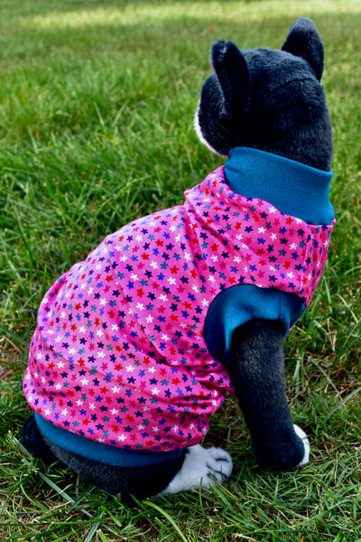 Sphynx Cat Clothes |  Fruity Stars Style
