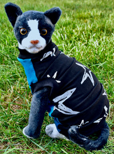Sphynx Cat Clothes | Black Star Blue Front Style