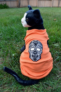 Sphynx Halloween Cat Clothes | Lace Skull Style