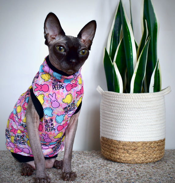 Sphynx Easter Cat Clothes |  Chillin With My Peeps Style