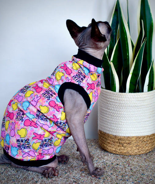 Sphynx Easter Cat Clothes |  Chillin With My Peeps Style