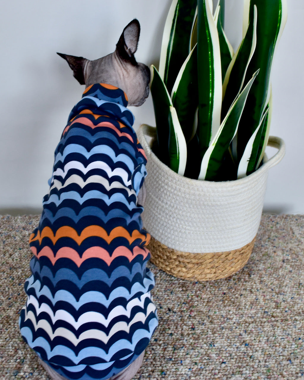 Sphynx Easter Cat Clothes |  Easter Egg Blues Style