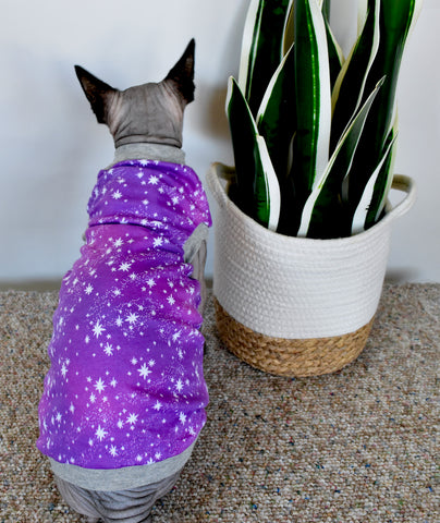Sphynx Cat Clothes |  Lola Famous Style