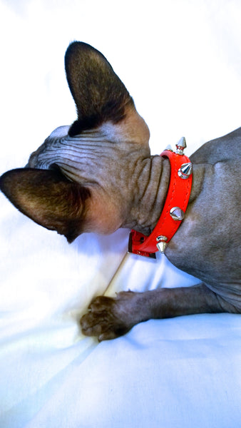 Sphynx Vibes Cat Collars | Spiked | One Row