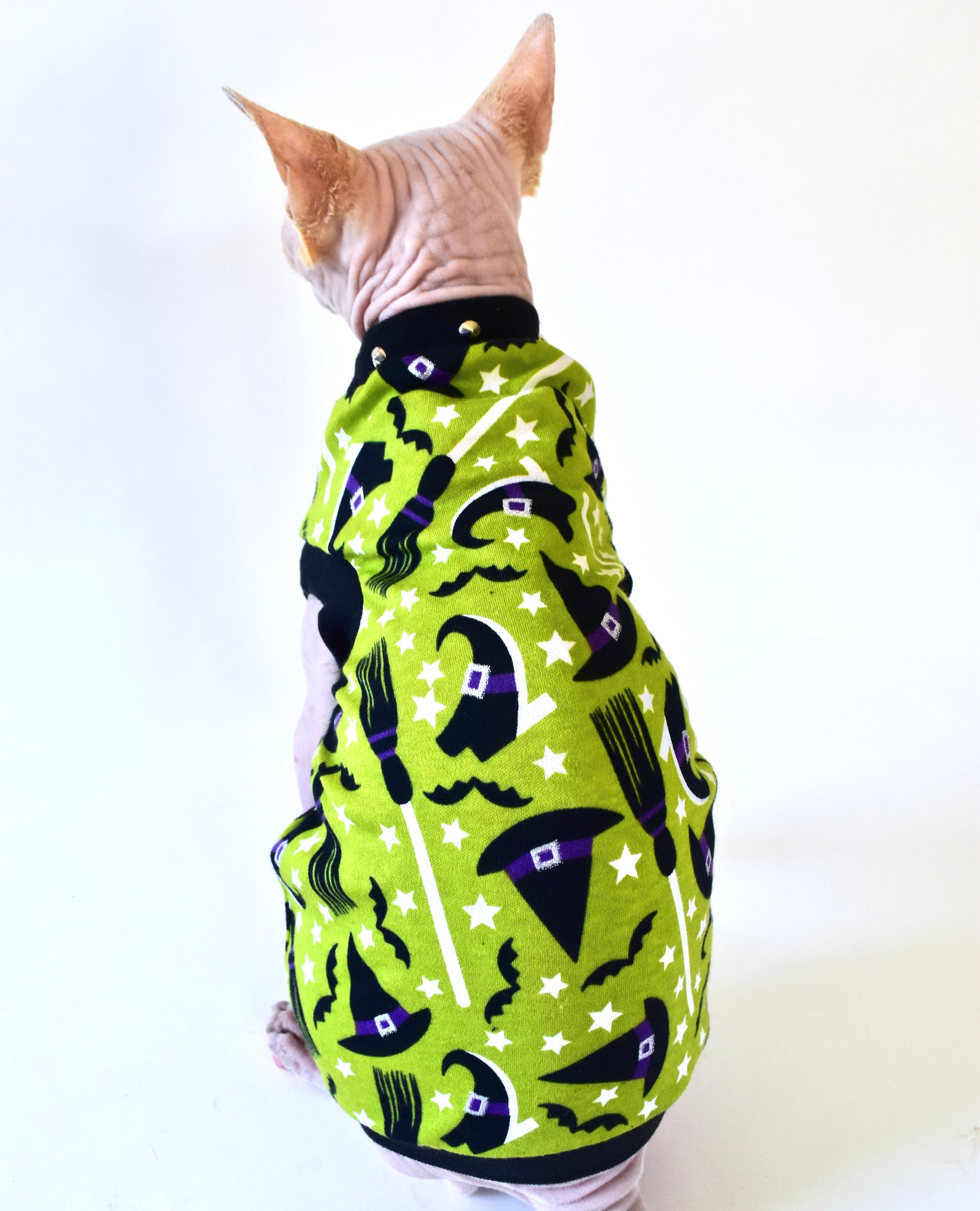 Sphynx Halloween Cat Clothing | Witch Green Style