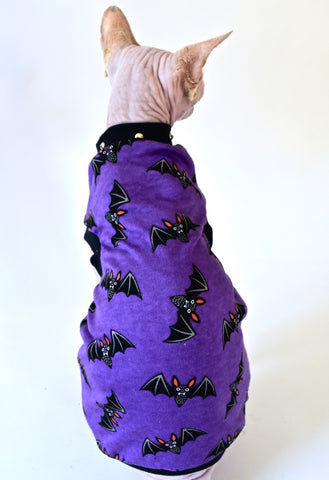 Sphynx Halloween Cat Clothing | Bats Purple Style
