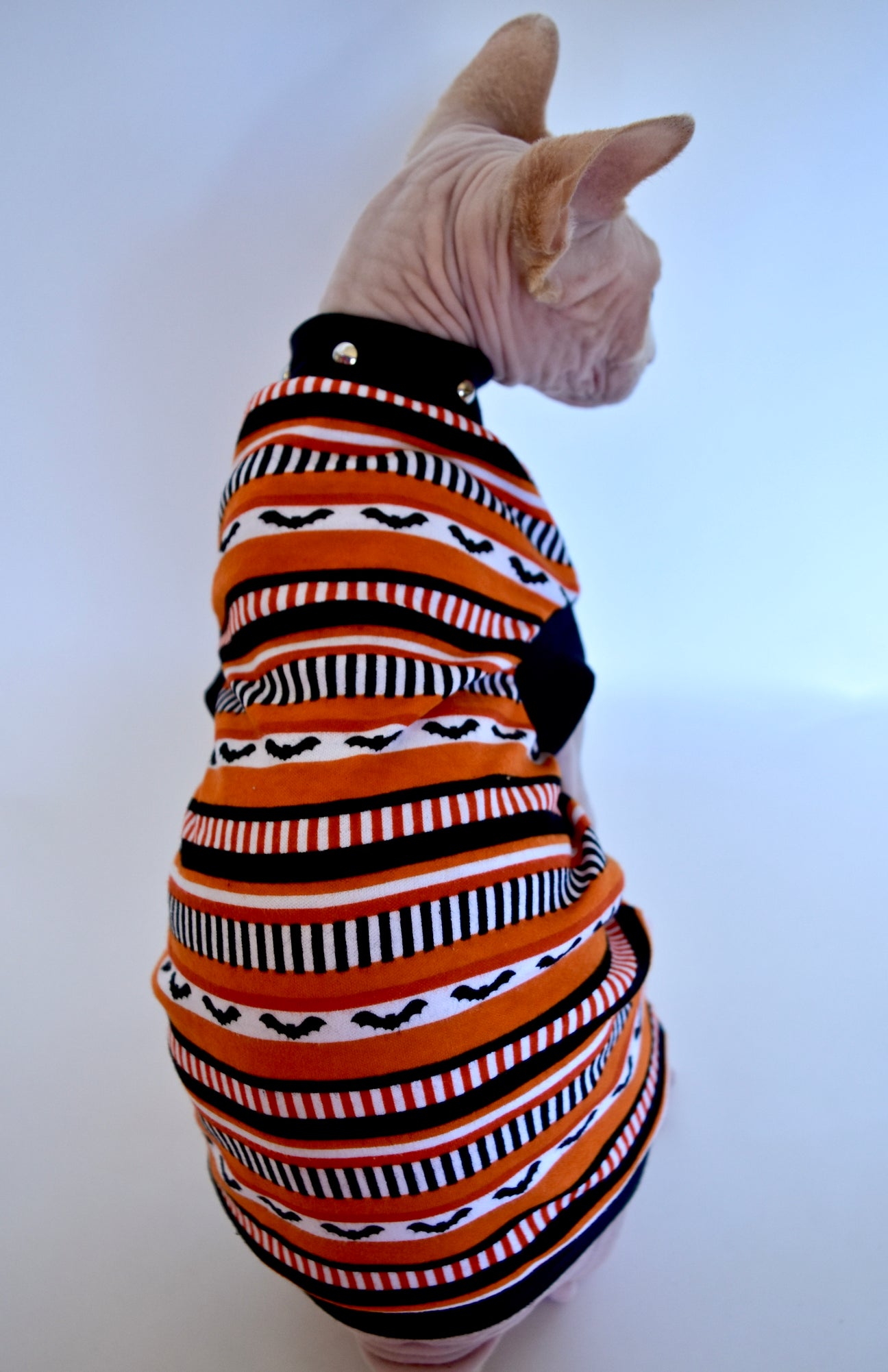 Sphynx Cat Clothing Hairless Hipsters Hairless Hipsters LLC.