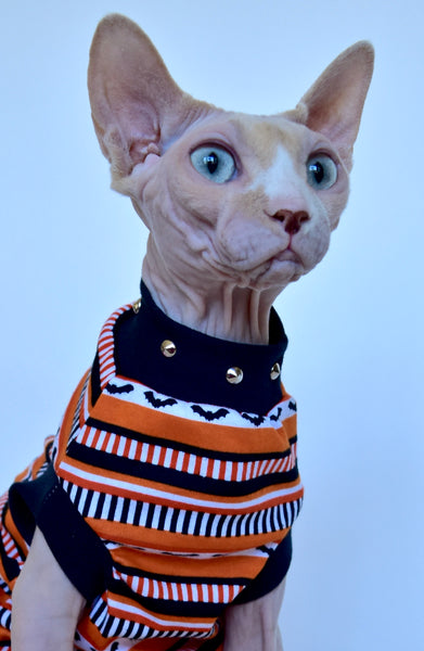 Sphynx Halloween Cat Clothing | Trick Or Treat Style