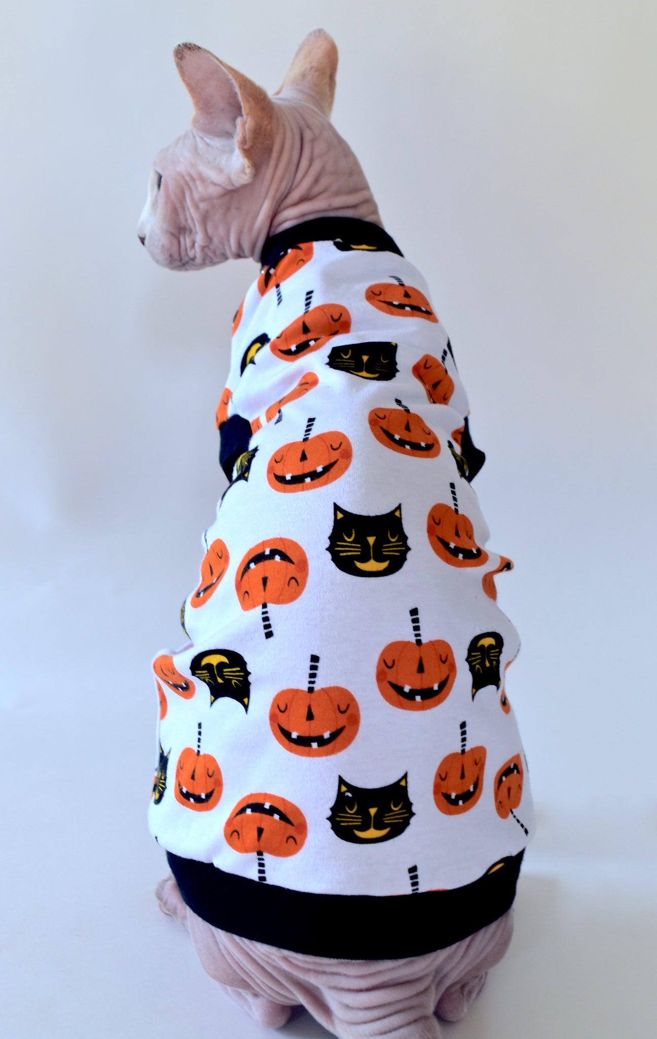 Sphynx Halloween Cat Clothes | Black Cat Pumpkin Style
