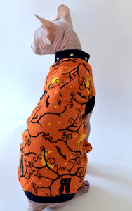 Sphynx Halloween Cat Clothing | Halloween Owl Style
